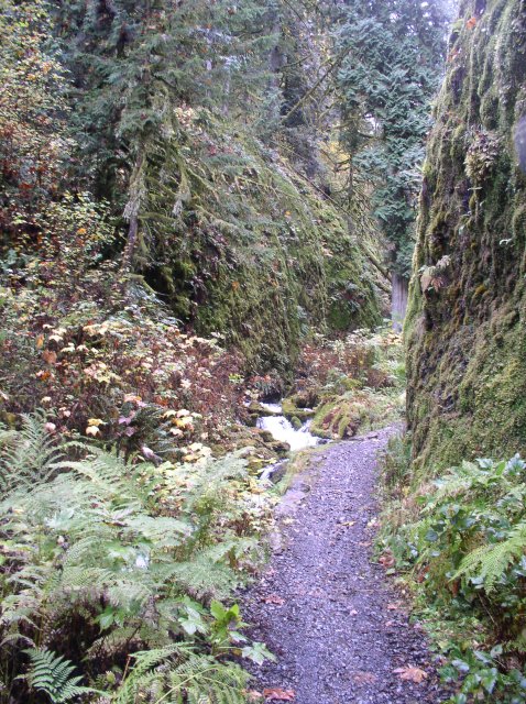 10.28.05 Devil's Rest 032 